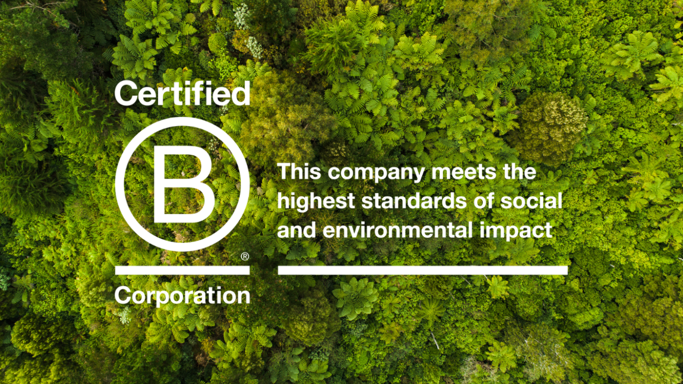 What is a B-Corp?